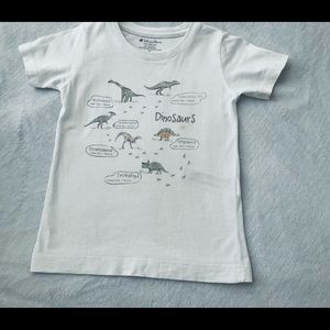 Babycottons T-shirts 🦖 toddlers